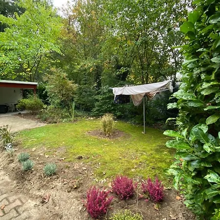 Pimpelmees Vakantie In * Wageningen