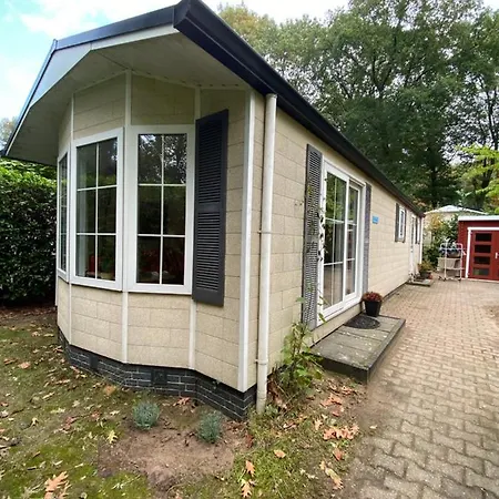 Pimpelmees Vakantie In