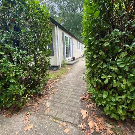 Pimpelmees Vakantie In Apartamento